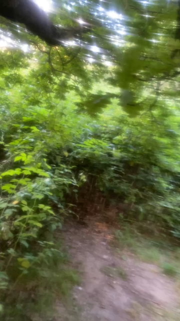 mosl90  25-07-2021 Recorded Video Download
